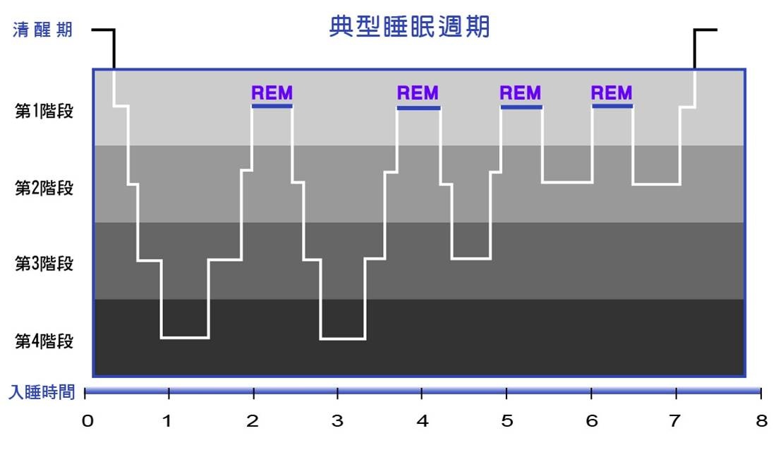 仲博·cbin99(中国)官方网站
