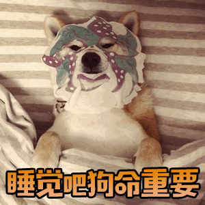 8a8388f0086a0448551884aea75d2322.gif