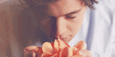 c571388d56c514033be36b7dbc791b83.gif
