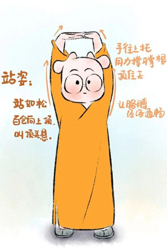 4八段锦.jpg
