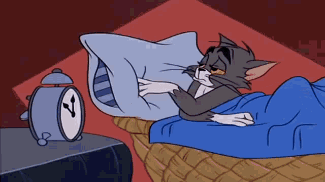 汤姆猫睡觉动图.gif